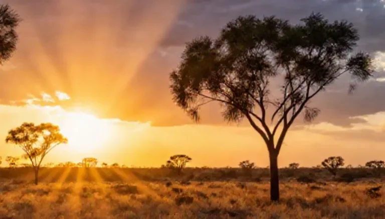 🗞️Mining.com.au: Recharge turns to gold with Sunset Well acquisition