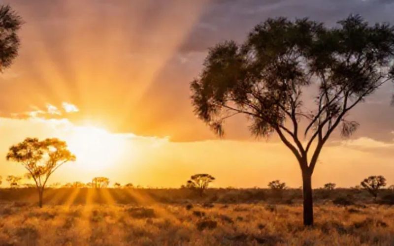 🗞️MiningNews.net: Recharge charges into Leonora gold